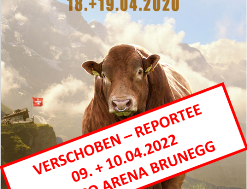 Katalog 1. Expo Swiss Limousin