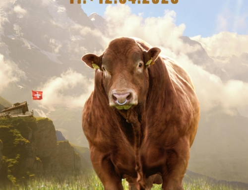 2. Expo Swiss Limousin